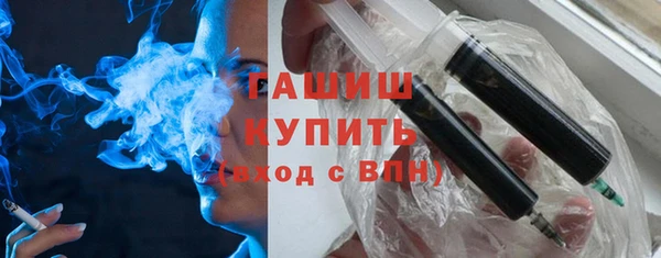 сатива Няндома