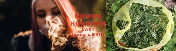 сатива Няндома