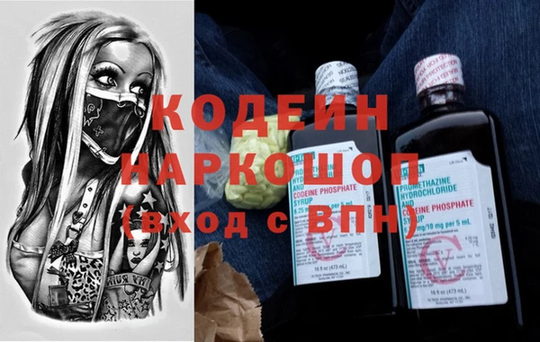 сатива Няндома