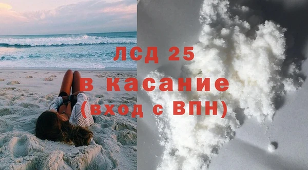 сатива Няндома