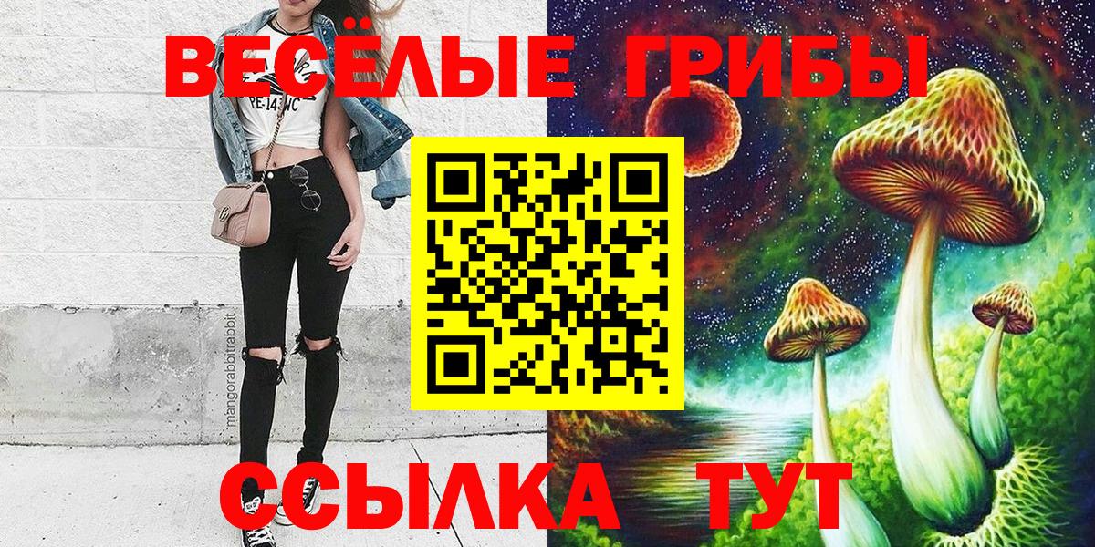 Галлюциногенные грибы MAGIC MUSHROOMS  Псилоцибиновые грибы ЛСД  Вход с VPN  Шадринск 